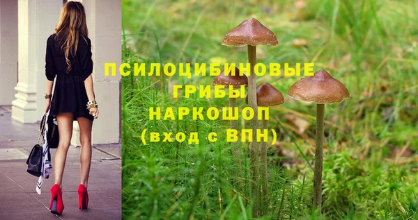 стаф Алексеевка