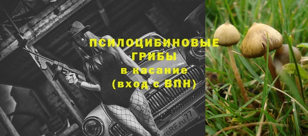стаф Алексеевка