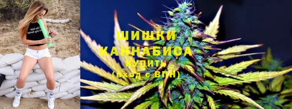 ПСИЛОЦИБИНОВЫЕ ГРИБЫ Арсеньев