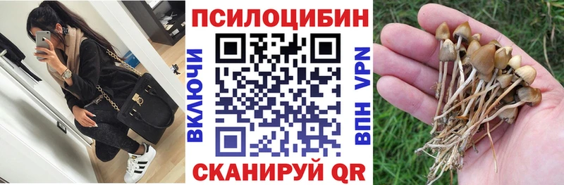 маркетплейс как зайти наркошоп Волгодонск Псилоцибиновые грибы Cubensis