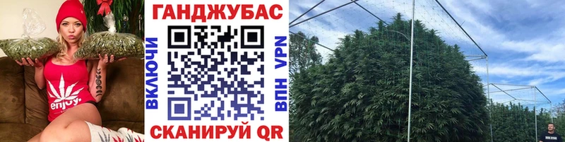Конопля гибрид  Волгодонск 